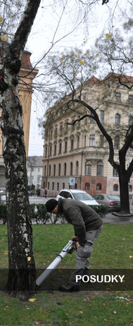 Posudky, inventarizcie, prstrojov vyetrenia stromov